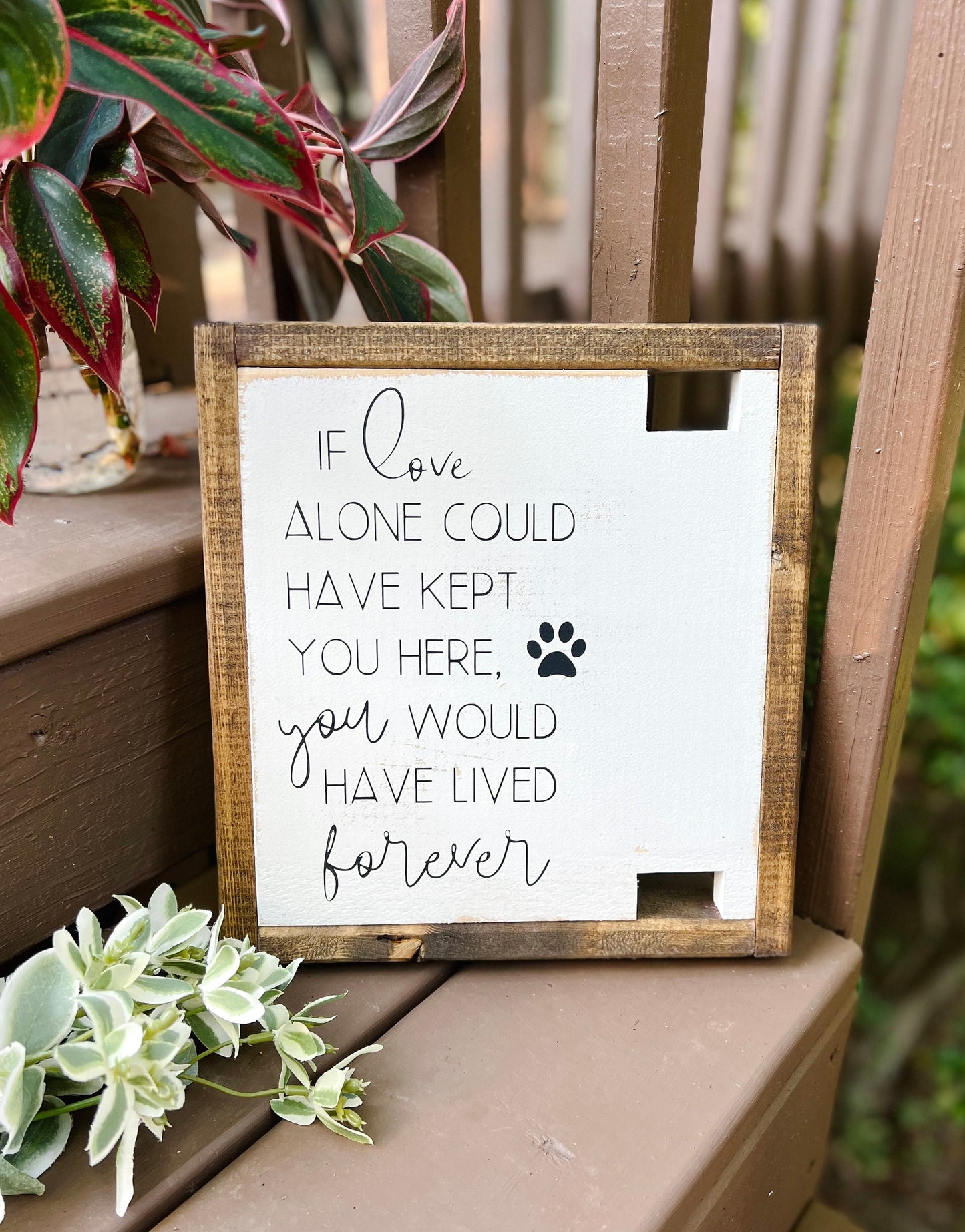 Pet Memorial Dog Collar Holder | Dog Loss Memorial Frame | If Love Alone Could Save | Rainbow Bridge Sympathy Gift | In Loving Memory